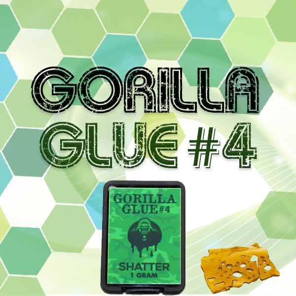 Gorilla Glue (1g) x10 pack